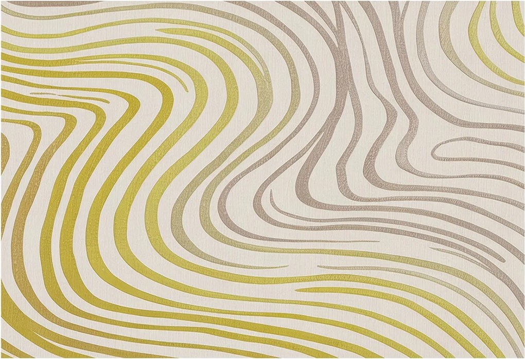 Fotótapéta Flizelin Fal a Hálószobába Folyékony elegancia 152x104 Ragasztó