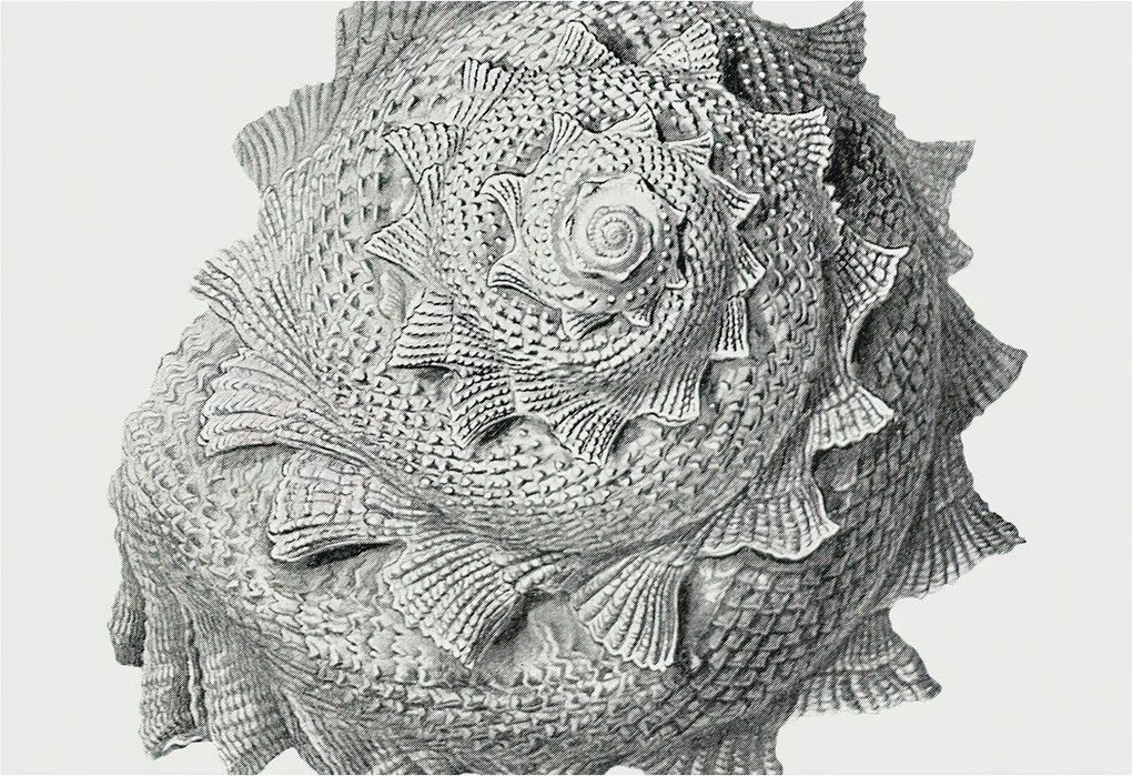 Divatos Flizelin tapéta 3D fali ragasztóval A természet művészete 152x104 Ragasztó