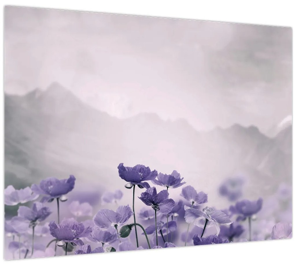 Üveg kép - Lila virágok a hegyekben (70x50 cm)