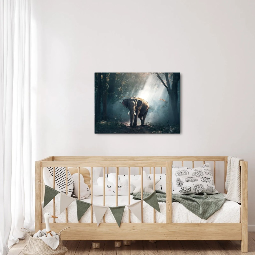 Elefánt a dzsungelben képe (70x50 cm)