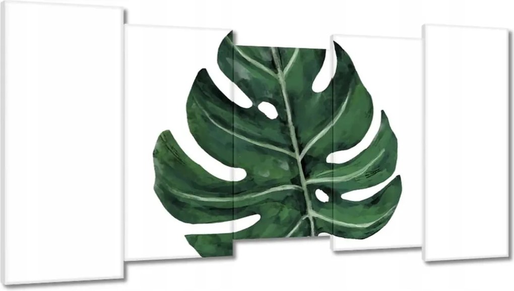 Vászonkép 150x80 Monstera Zöld levél