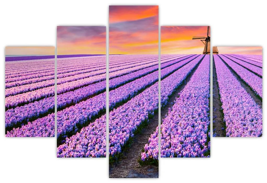 Kép - virágfarm (150x105 cm)