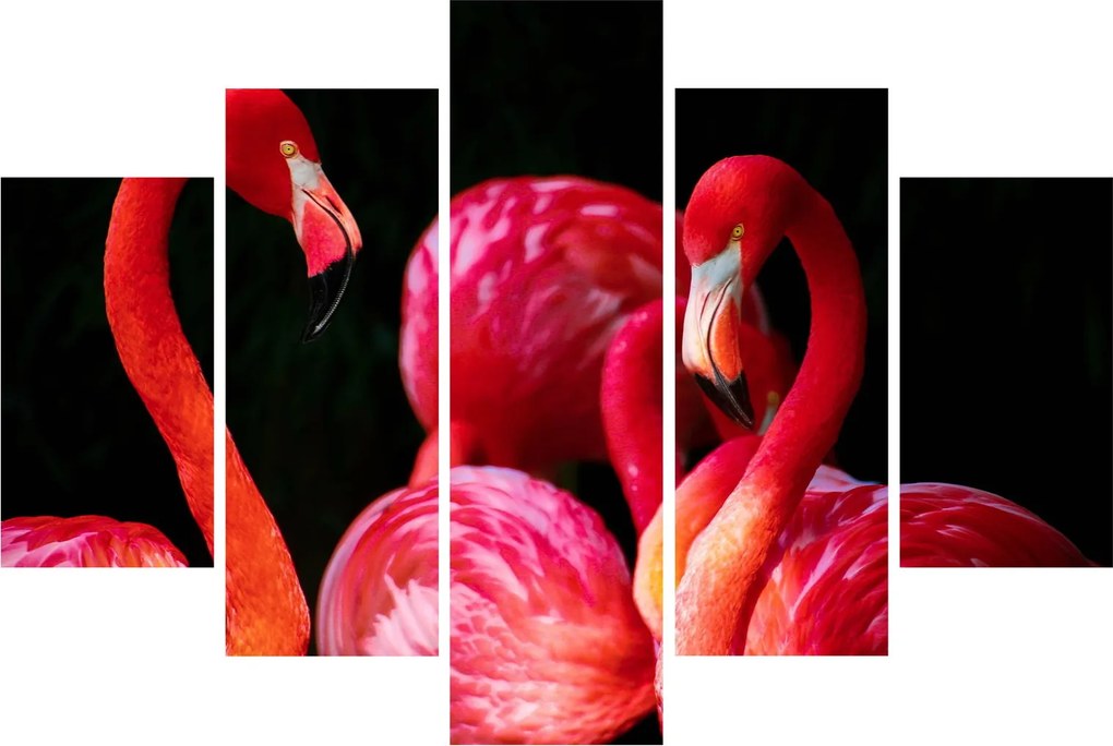 Vörös flamingók képe (150x105 cm)