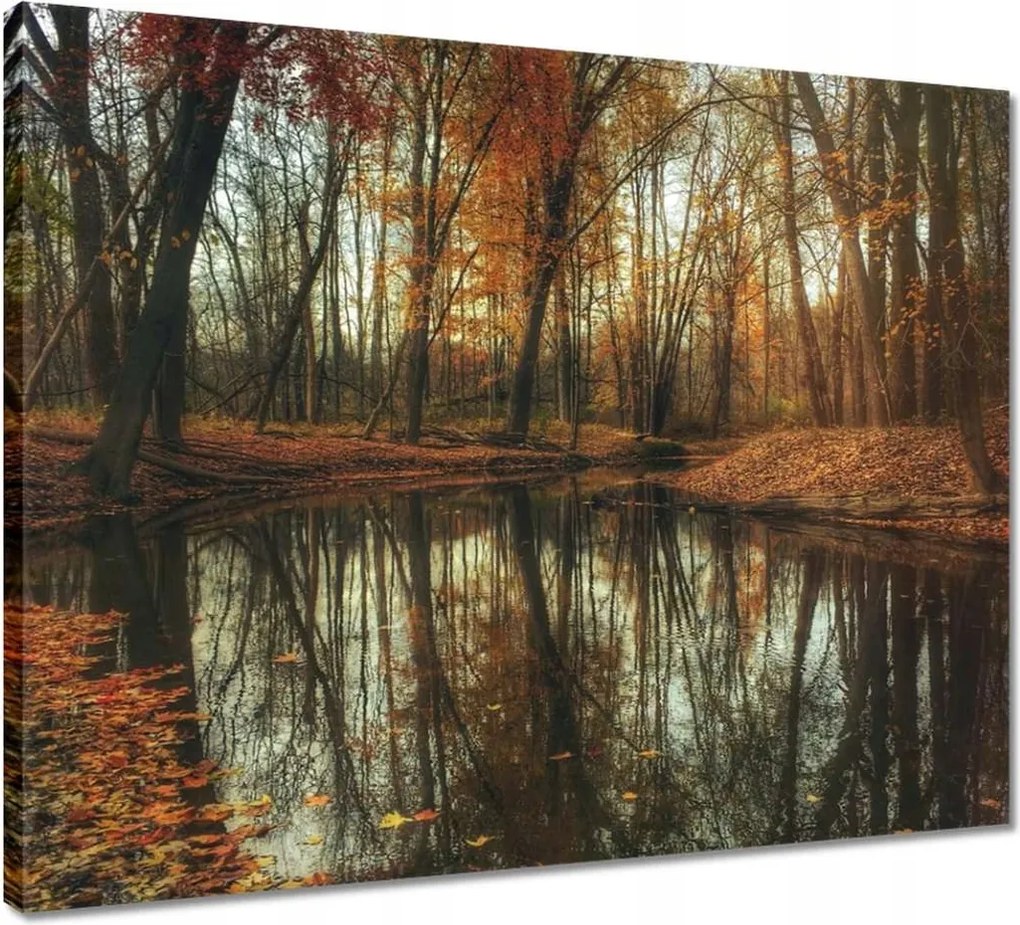 Vászonkép 50x40 Őszi táj Tájkép