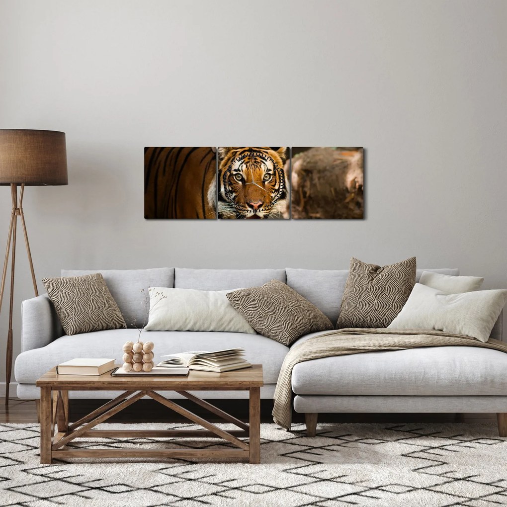 Tigris képe (órával) (90x30 cm)
