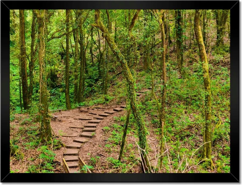 Poszterek keretben 40x30 Gyalogtúra