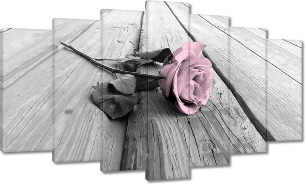 Vászonkép 140x80 Púderrózsaszín Old pink Rose