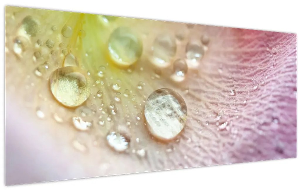Kép - Harmatcseppek (120x50 cm)