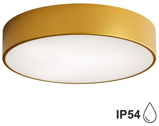 Brilagi - Fürdőszobai mennyezeti lámpa CLARE 2xE27/24W/230V átm. 40 cm IP54 arany