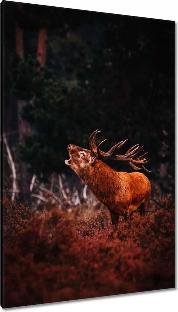 Vászonkép 80x120 Szarvas az erdőben
