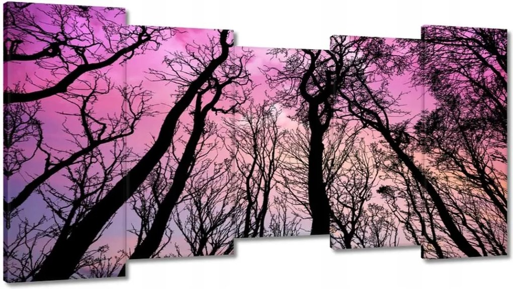 Festmények 150x80 Erdő Fák Kilátás alulról