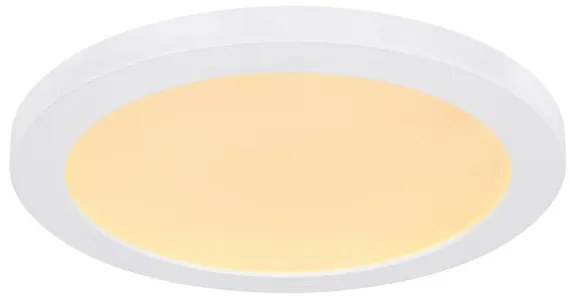 Globo 12379-24W - LED Mennyezeti lámpa LASSE LED/24W/230V