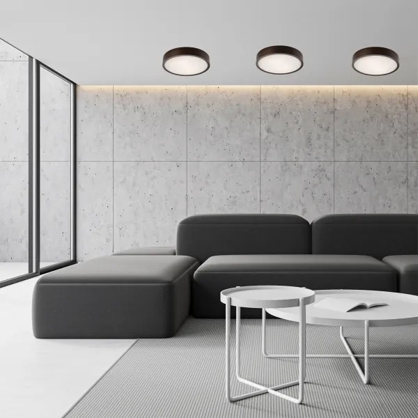 Mennyezeti lámpa 2xE27/60W/230V