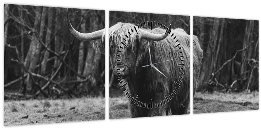 Kép - Skót tehén (órával) (90x30 cm)