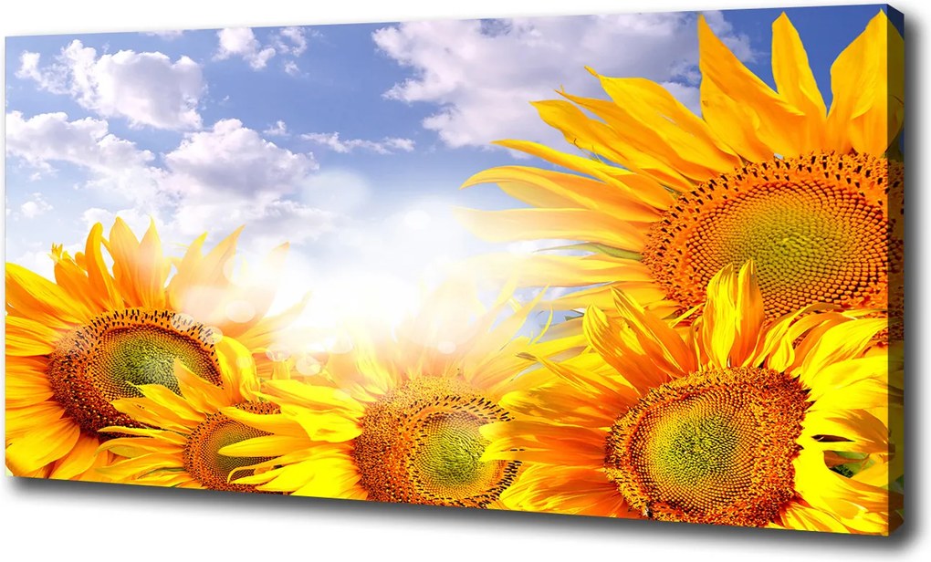 Canvas falikép Napraforgók 120x60 cm