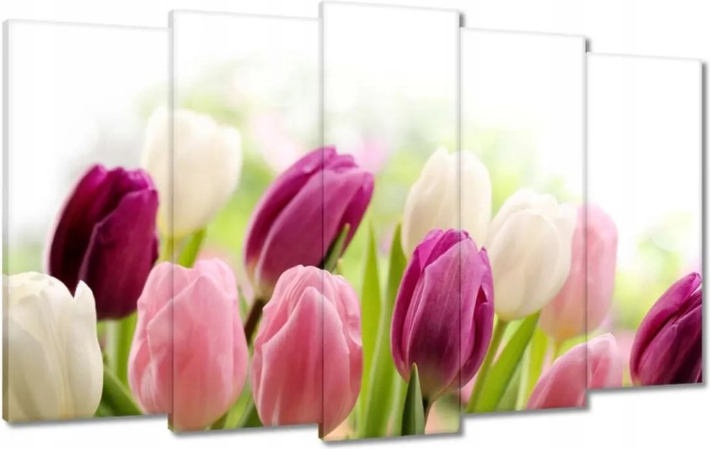 Vászonkép 100x60 Gyönyörű tulipánok