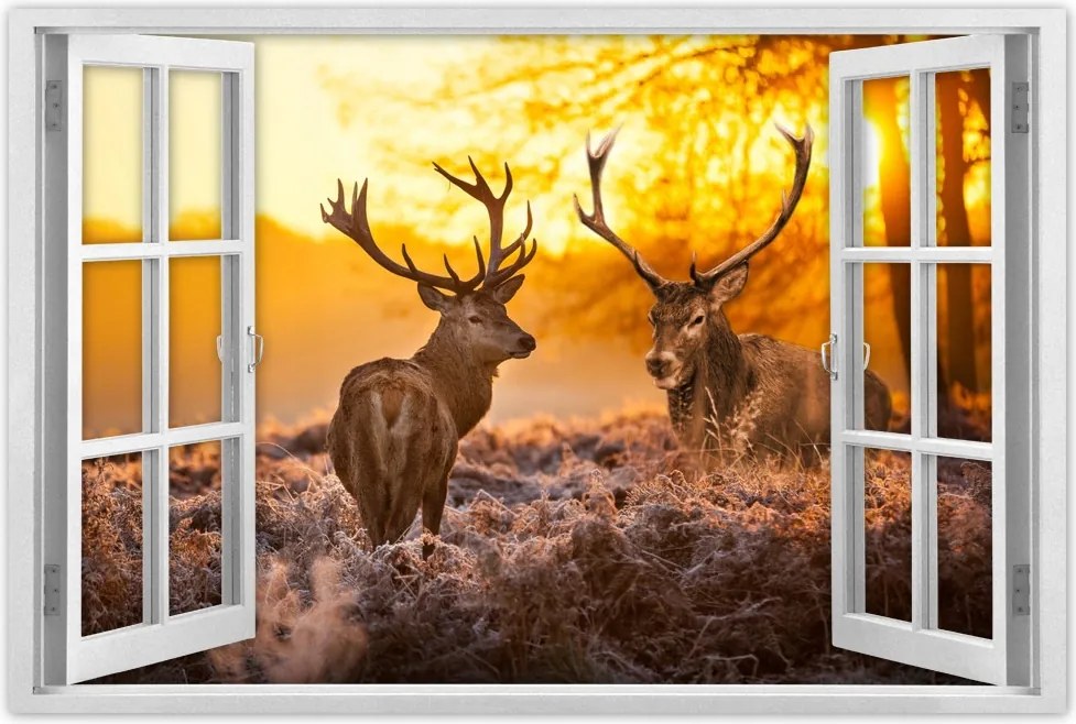 Poszterek 60x40 Szarvasok a réten