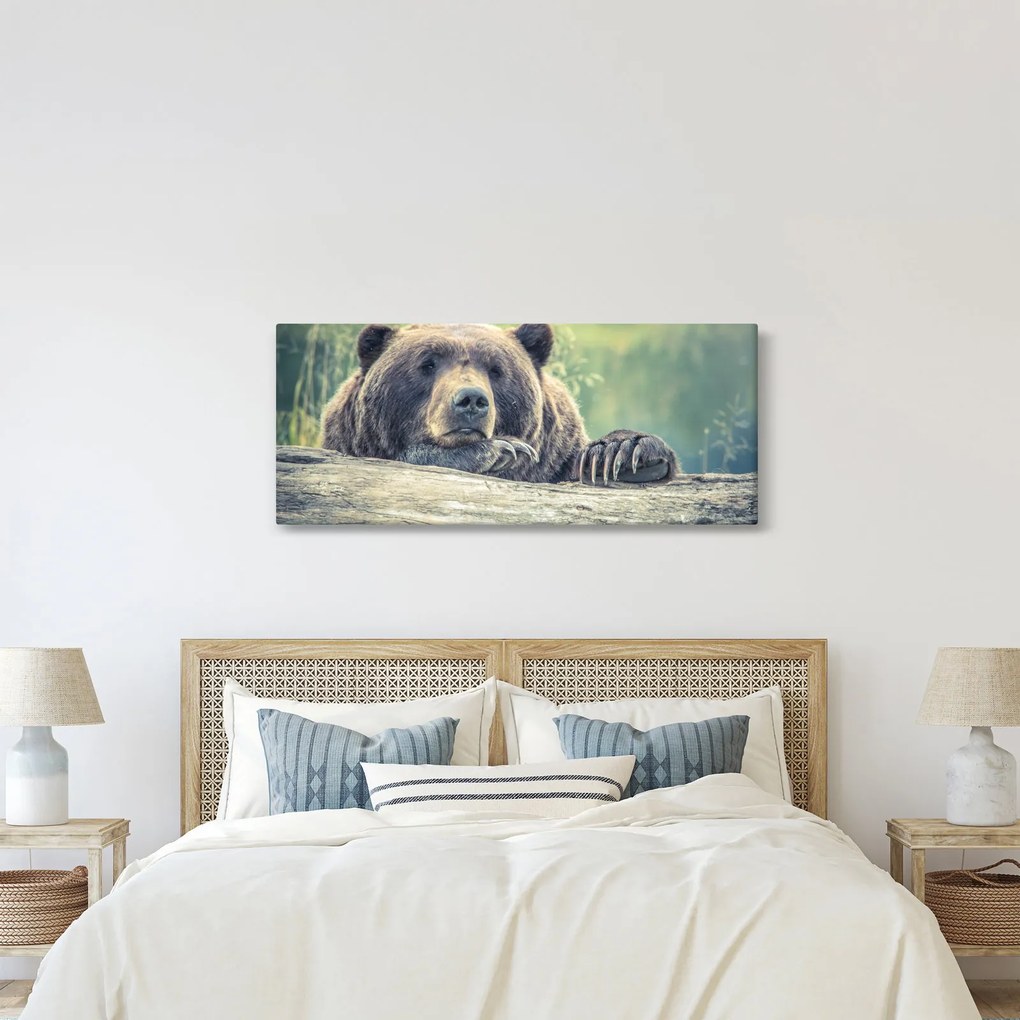 Medve képe (120x50 cm)