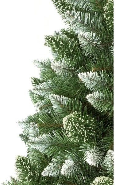 Karácsonyfa törzzsel, 180 cm magas fenyő