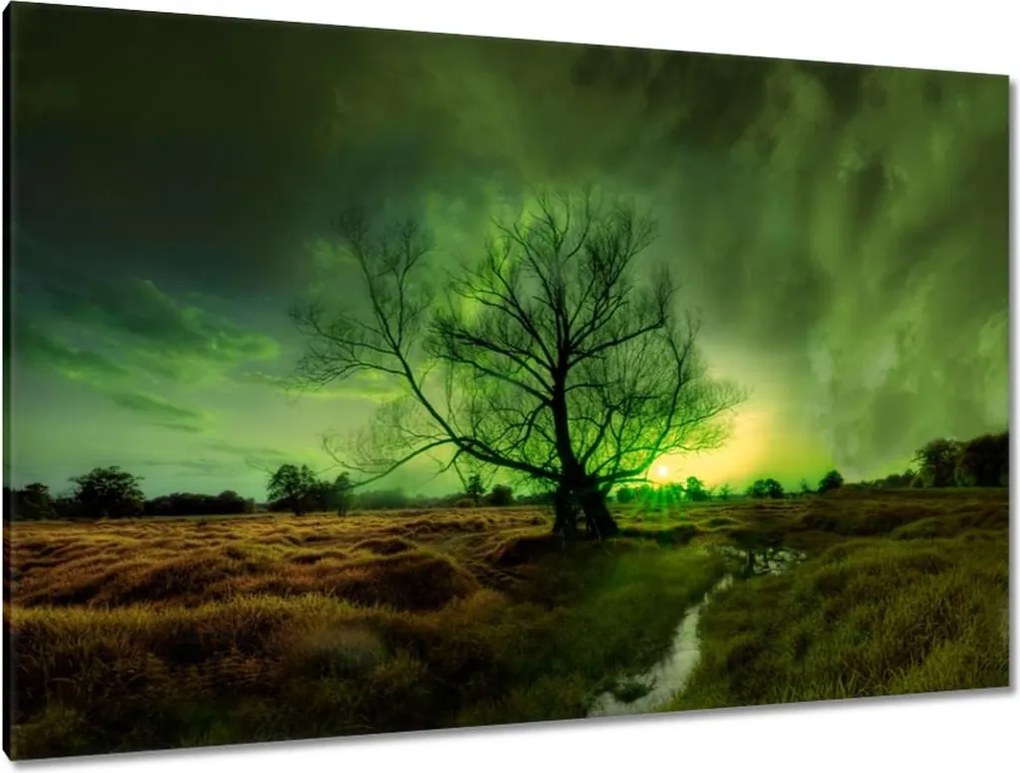 Festmények 120x80 Rogalin