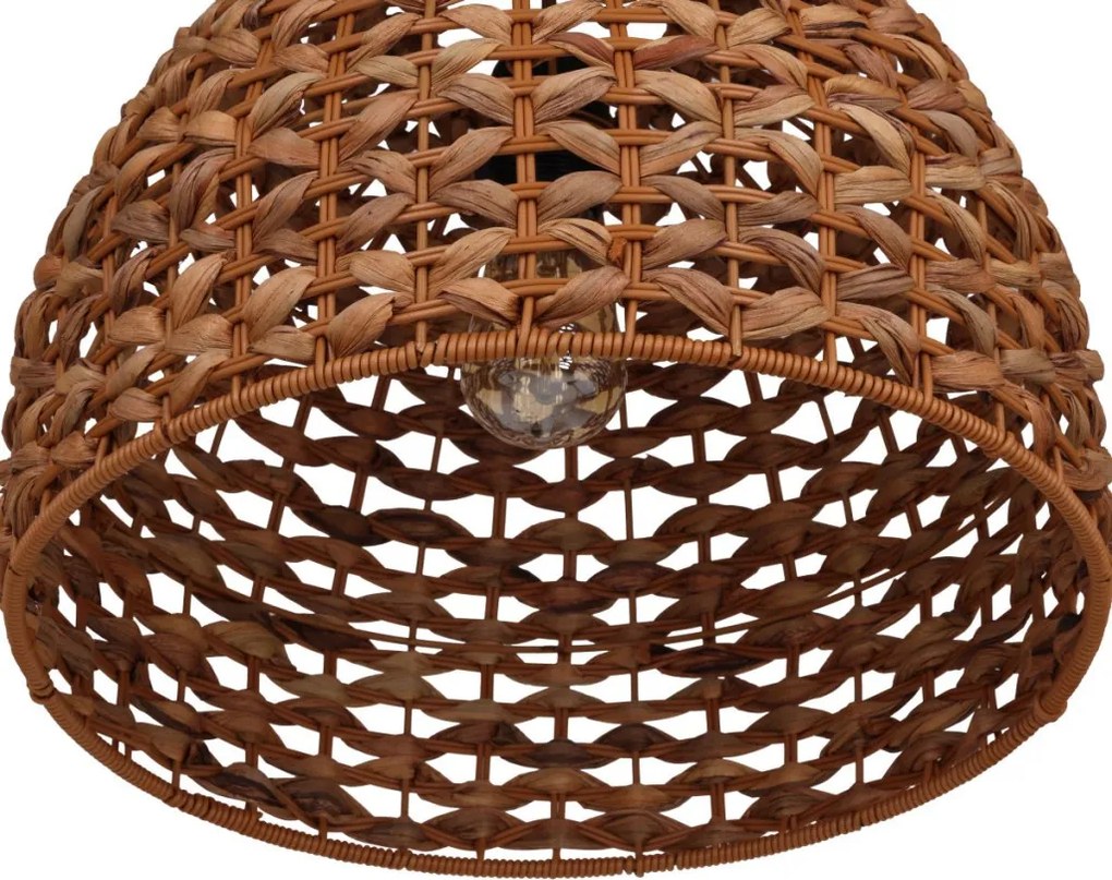 Dijk WATER HYACINTH 55873-017 Függőlámpa 1x40W/E27 IP20