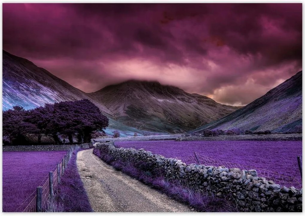 Poszterek 100x70 Lila tájkép