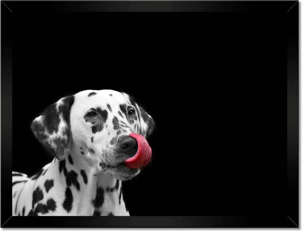 Poszterek keretben 40x30 Mindenre kidobva