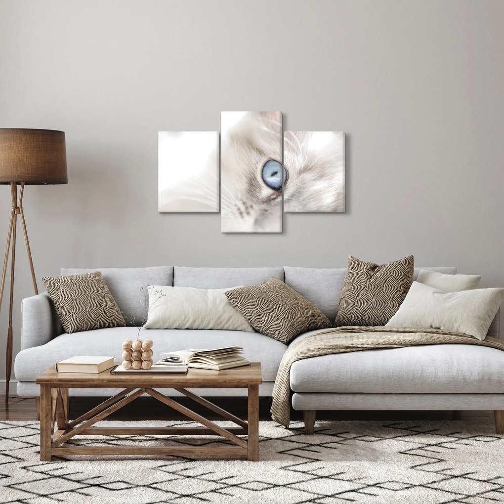 Kép - Kék szemű macska (90x60 cm)