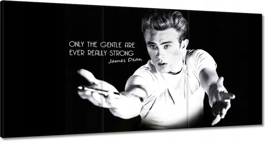 Festmények 180x90 James Dean