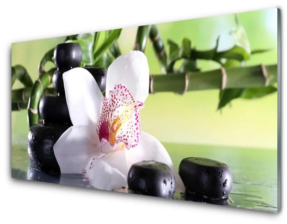 Akrilkép Bamboo Orchid Stones 140x70 cm