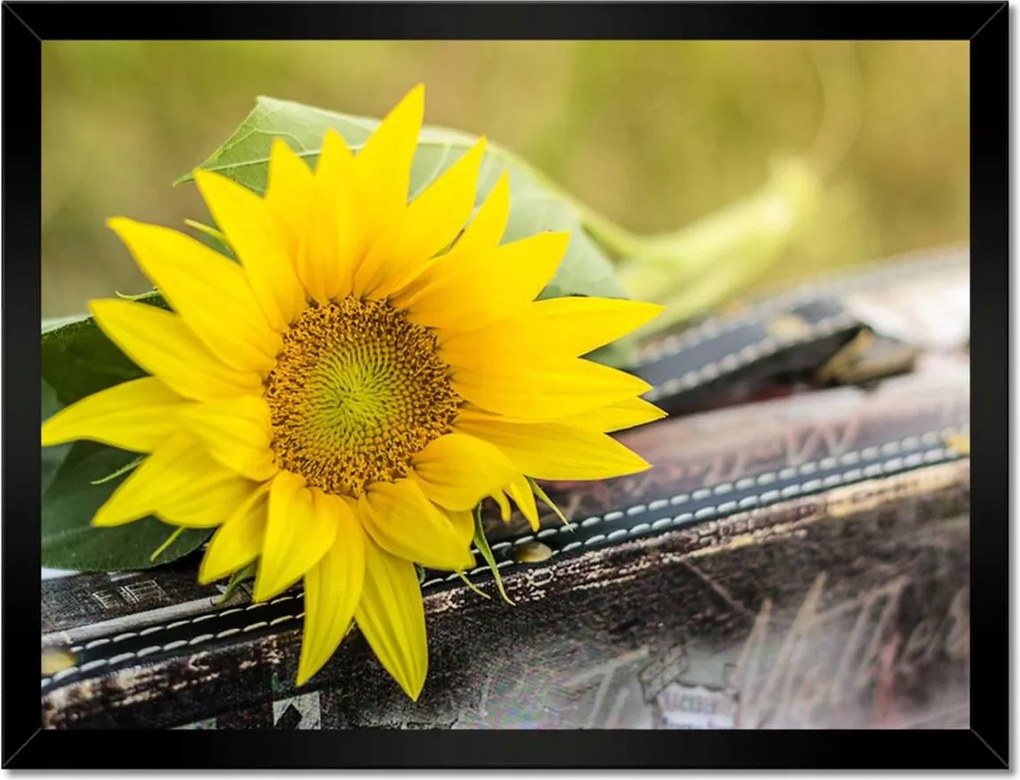 Poszterek keretben 40x30 Napraforgó a bőröndön