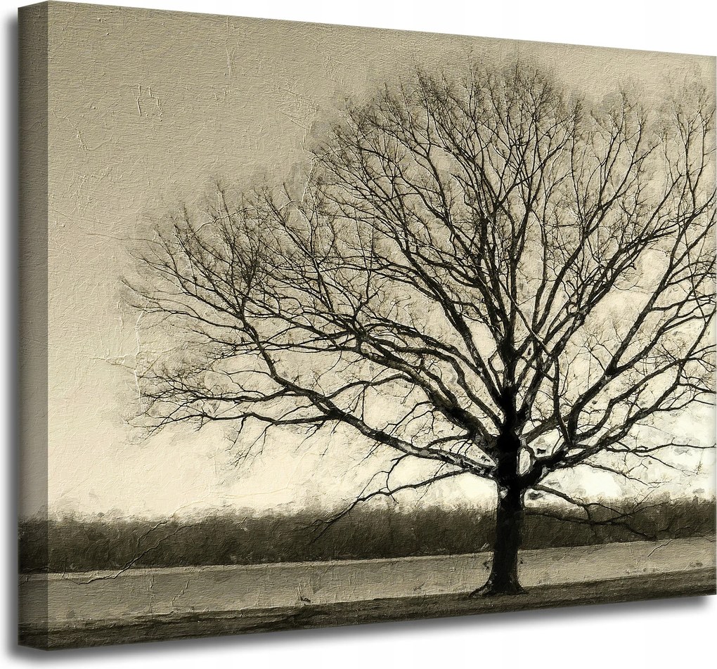 Vászonkép Sötét fekete fa Szomorúság 50x40 cm Ideális ajándék