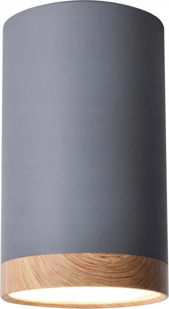 Mennyezeti lámpa, spot Led szürke modern előszoba nappaliba Tuba 15 XX