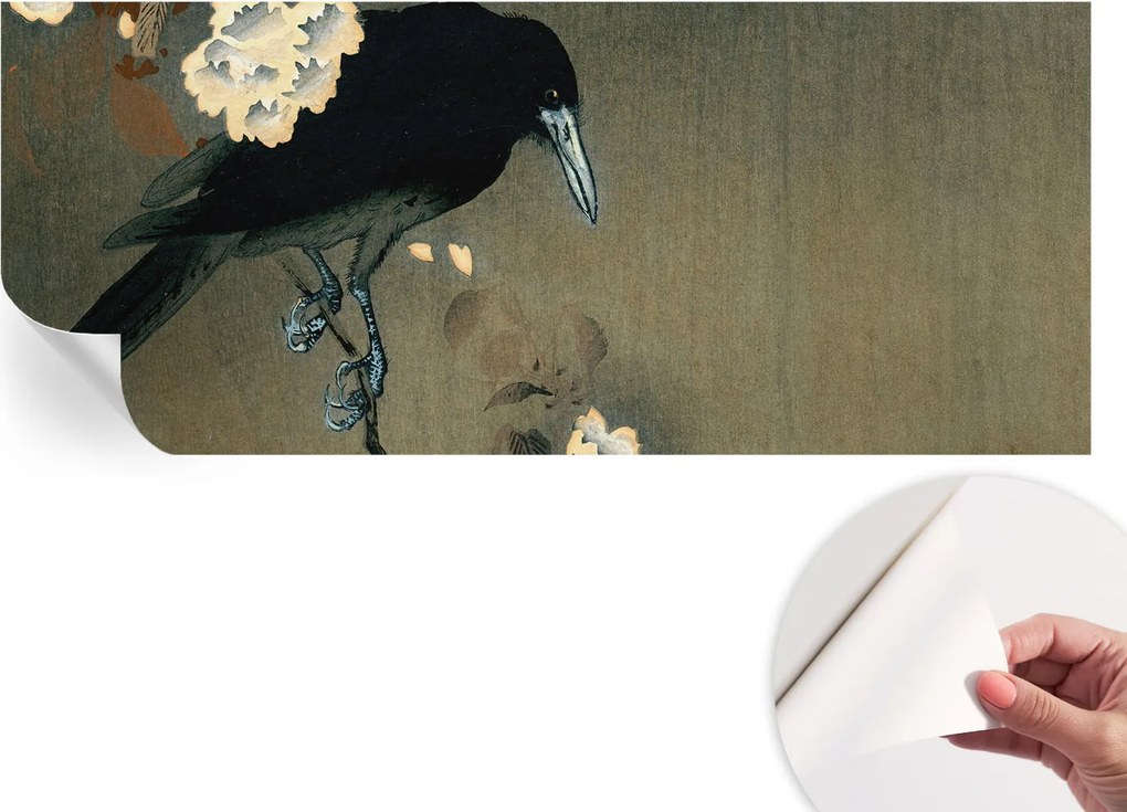 Öntapadós fotótapéta Divatos Egzotikus természet 250x104 cm