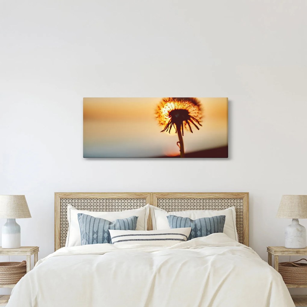 Egy pitypang képe naplementekor (120x50 cm)