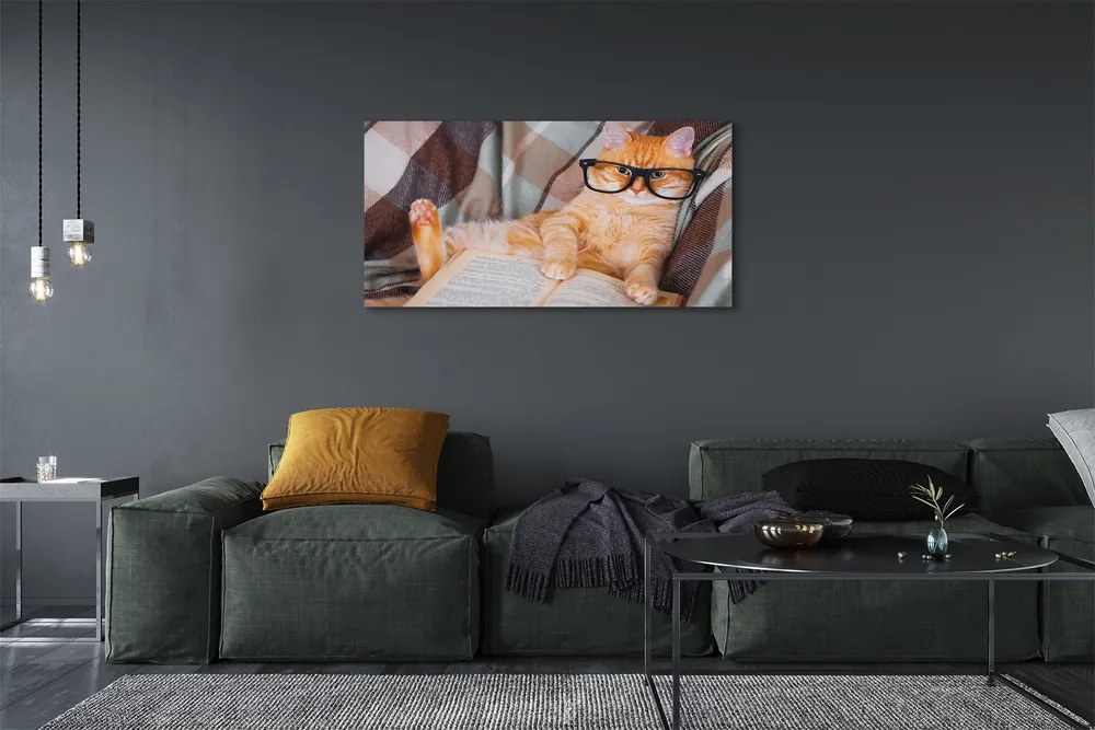 Canvas képek Az olvasó macska 120x60 cm