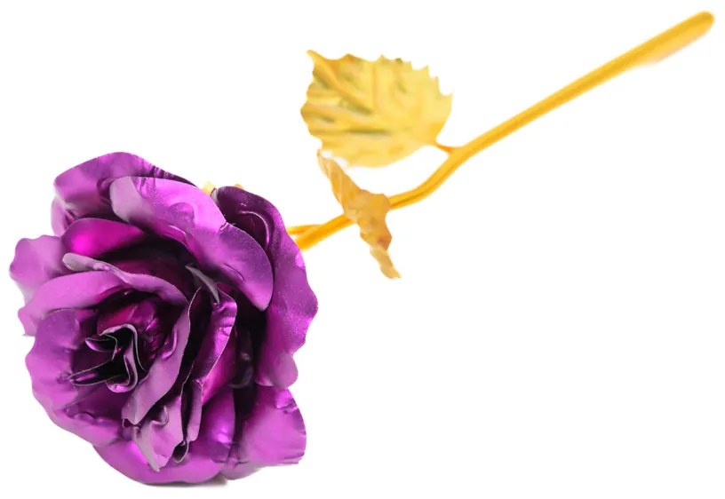 SIF lila örökrózsa arany szárral