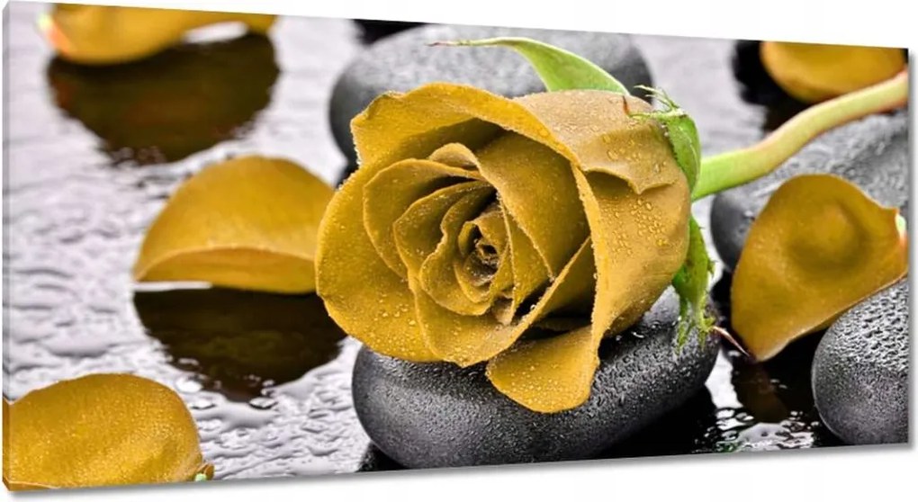 Vászonkép 115x55 Sárga rózsa köveken
