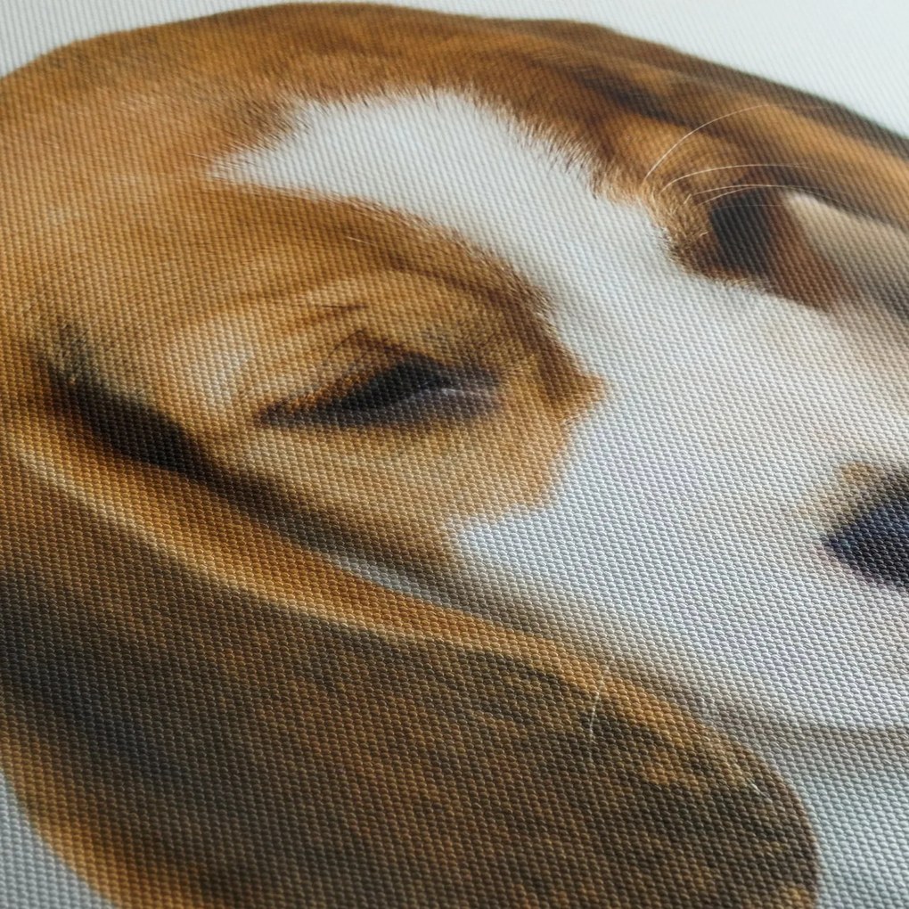 Beagle képe (150x105 cm)