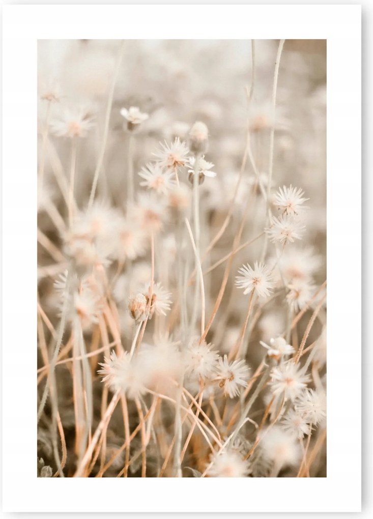 Boho fű bézs poszter 50x70cm #20D