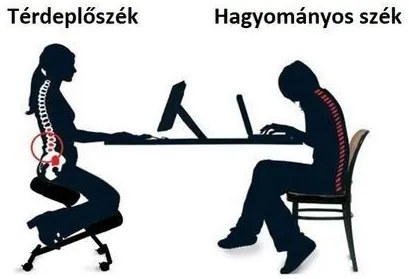 Homeland Térdeplőszék (TES-SW110)