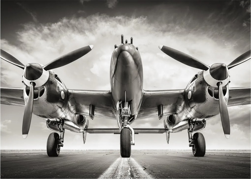 Üveg kép - Warbird (70x50 cm)