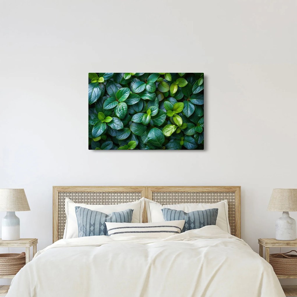 Kép - Zöld növények (90x60 cm)
