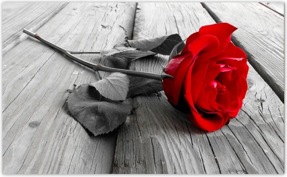 Fotótapéta flizelina 416x254 Rózsa a hídon