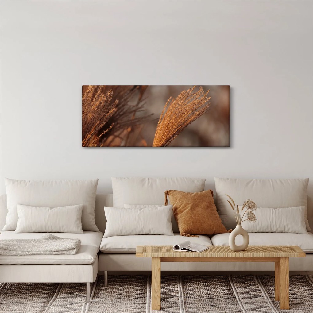 Kép - Cortaderia (120x50 cm)