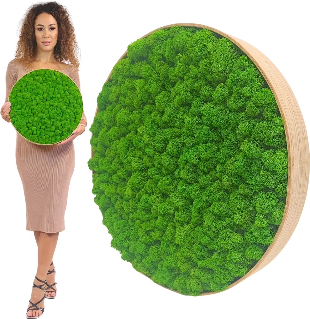 Moha Kép tölgyfa keretben 50cm moha Élő Kép