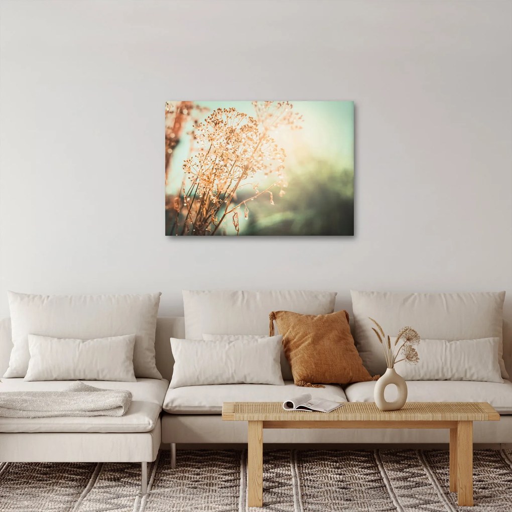 Kép - Növények eső után (70x50 cm)