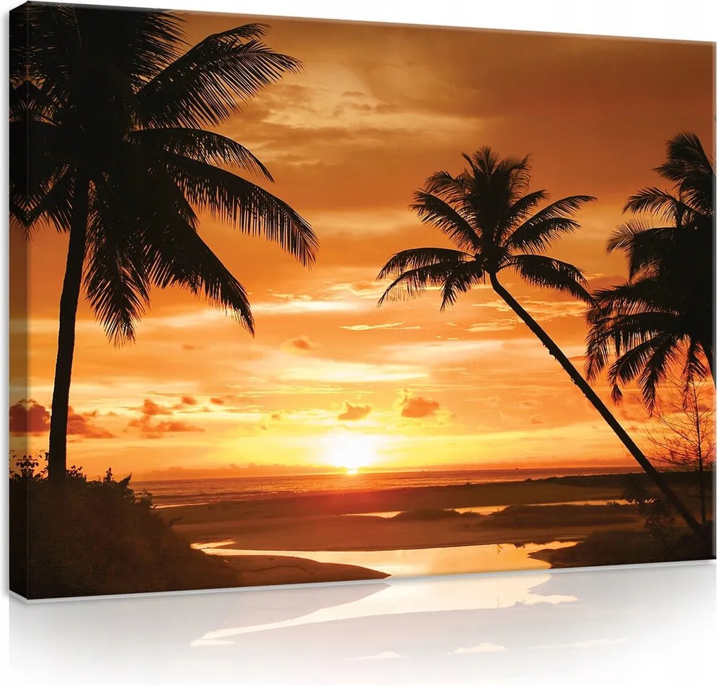 Vászonkép 80x60 Naplemente pálmafák trópusok tengerpart óceán tenger víz ég felhők