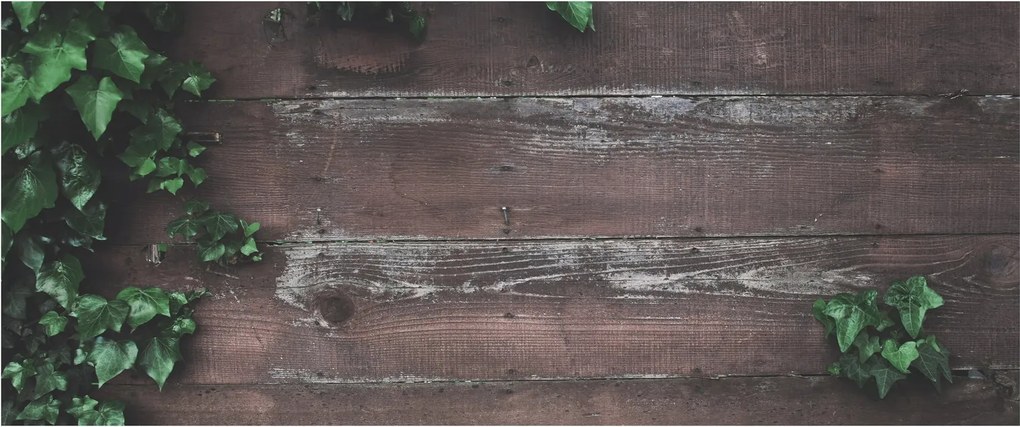Kép - Borostyán (120x50 cm)