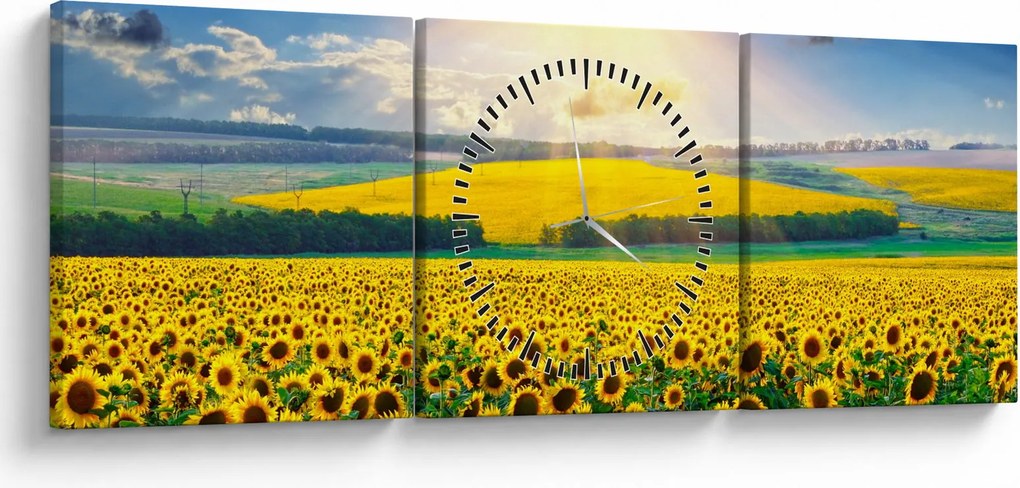 Kép - Napraforgó mező (órával) (90x30 cm)